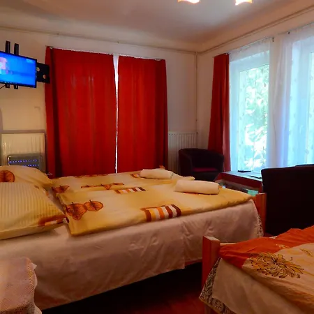 Ocean * شيوفوك