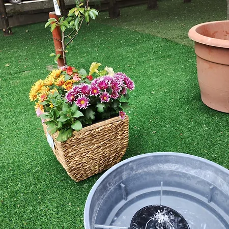Apartman Luna Vendeghaz Siófok