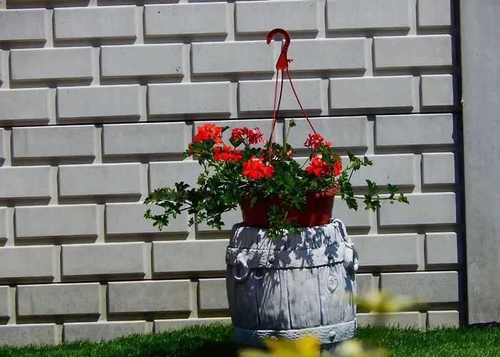 Ocean Апартаменты *