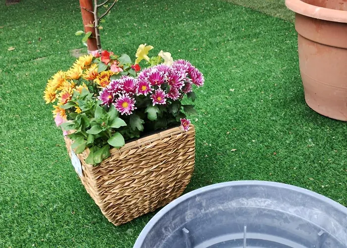 아파트 Ocean 시오포크