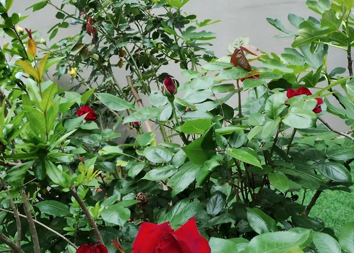 Ocean 아파트 시오포크