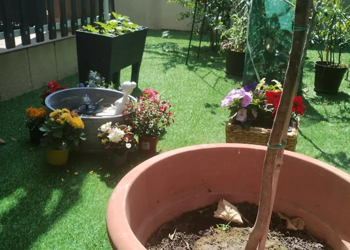 Апартаменты Ocean