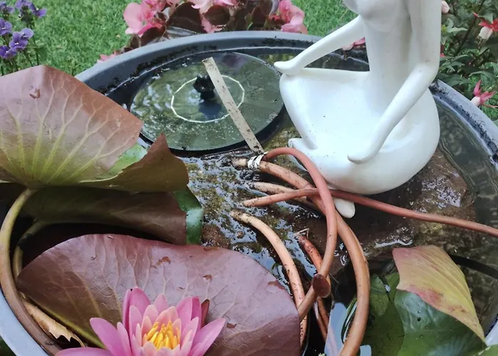 Ocean Апартаменты *